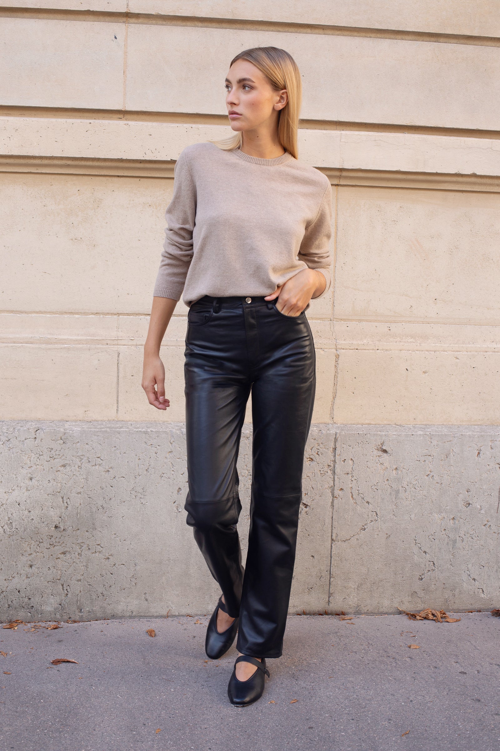 Le Daisy - Image 3