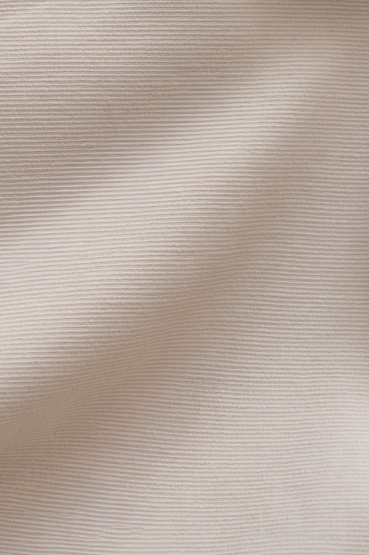 Le Dexter * - Image 10